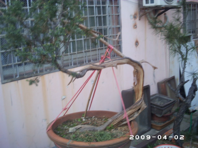 PHOT0028.JPG
