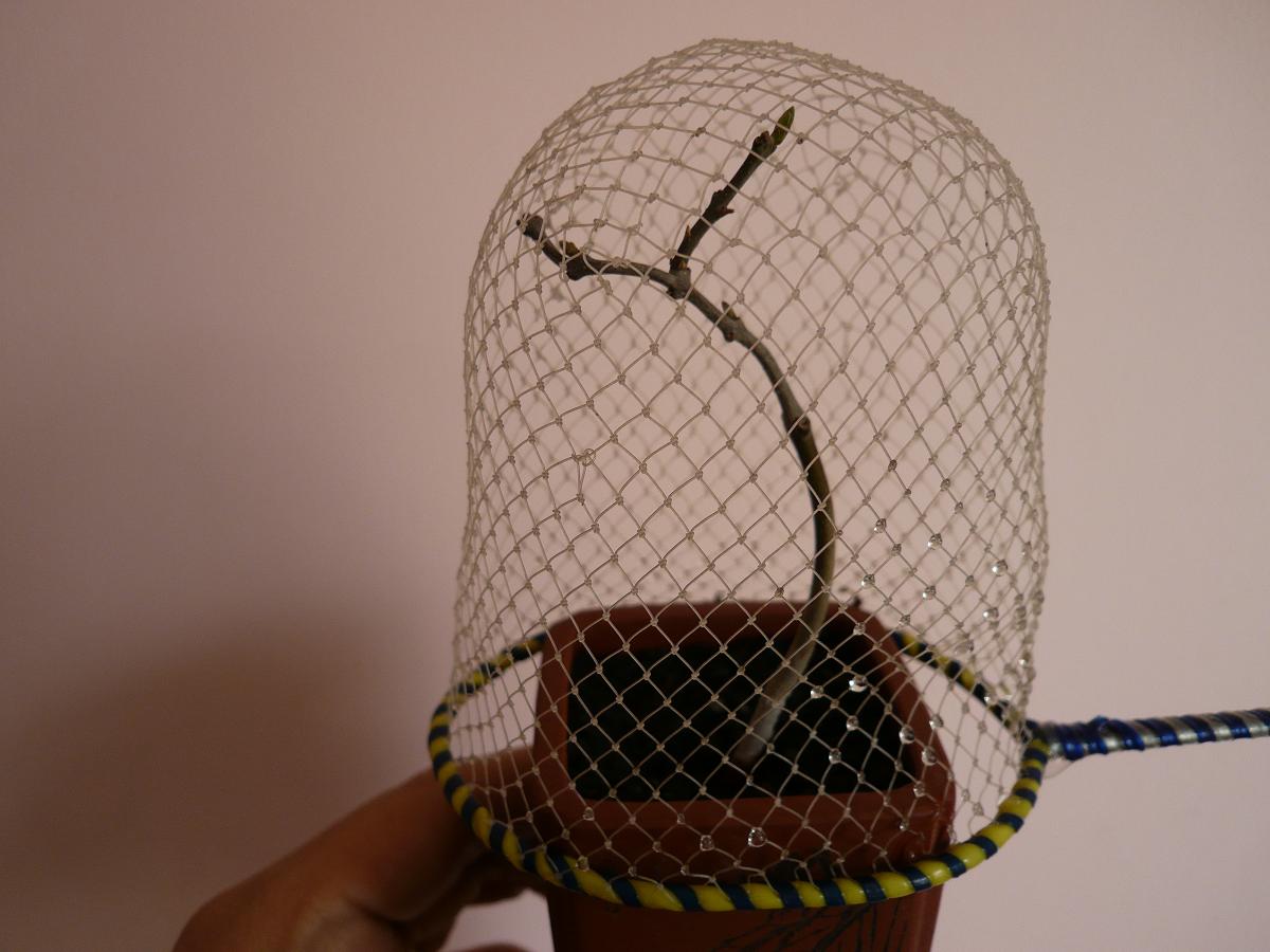 P1080164.JPG