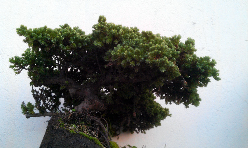 IMAG0361_.jpg