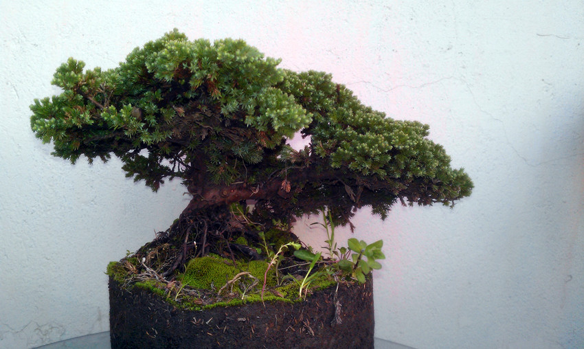 IMAG0356_.jpg