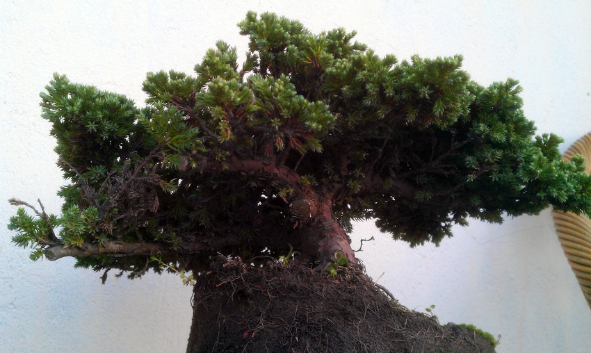 IMAG0360_.jpg
