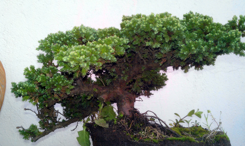 IMAG0357_.jpg