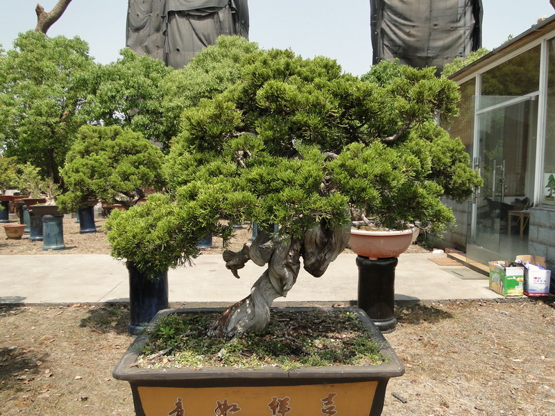 DSC05796_С.JPG