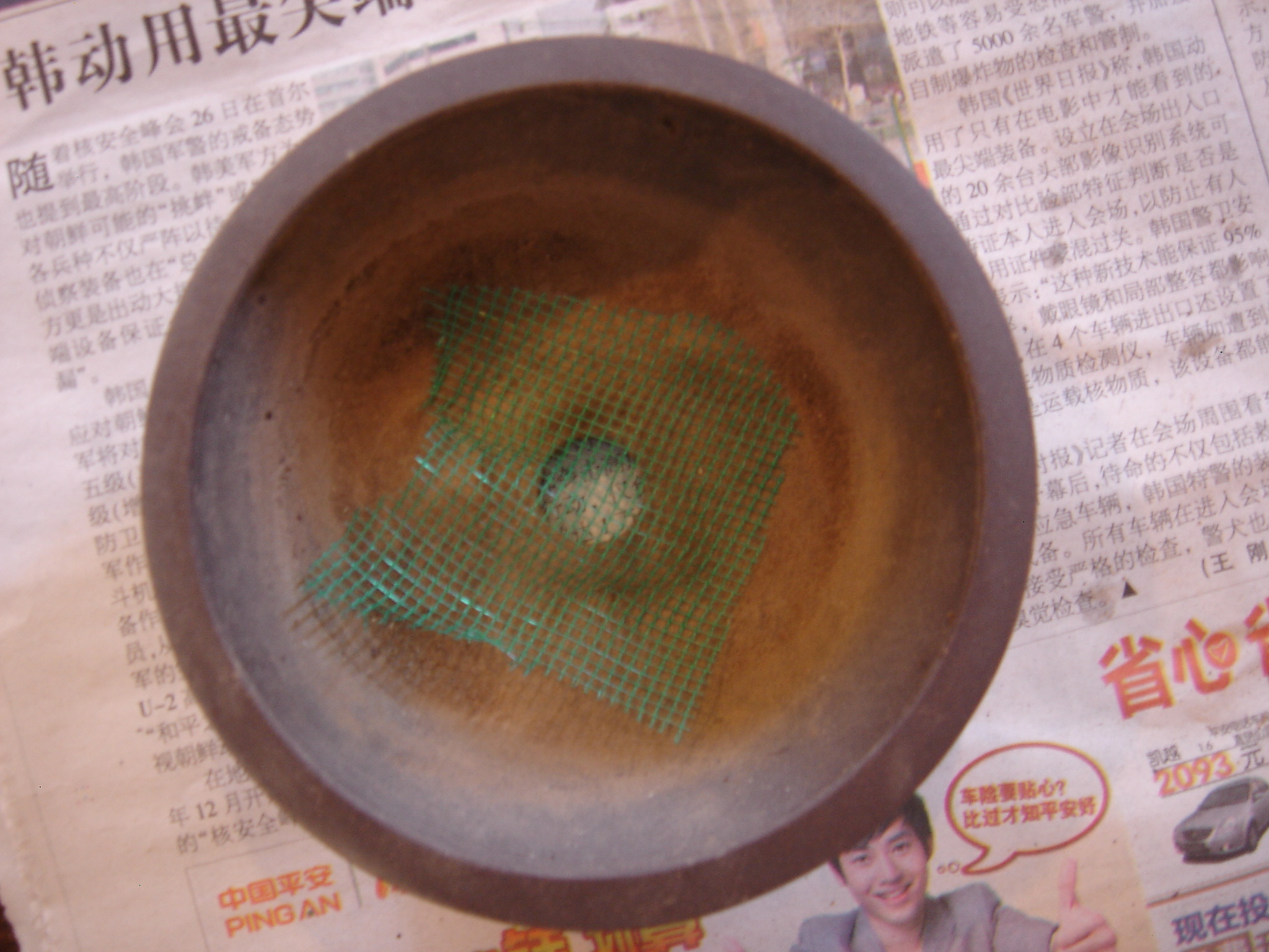 DSC02611.JPG