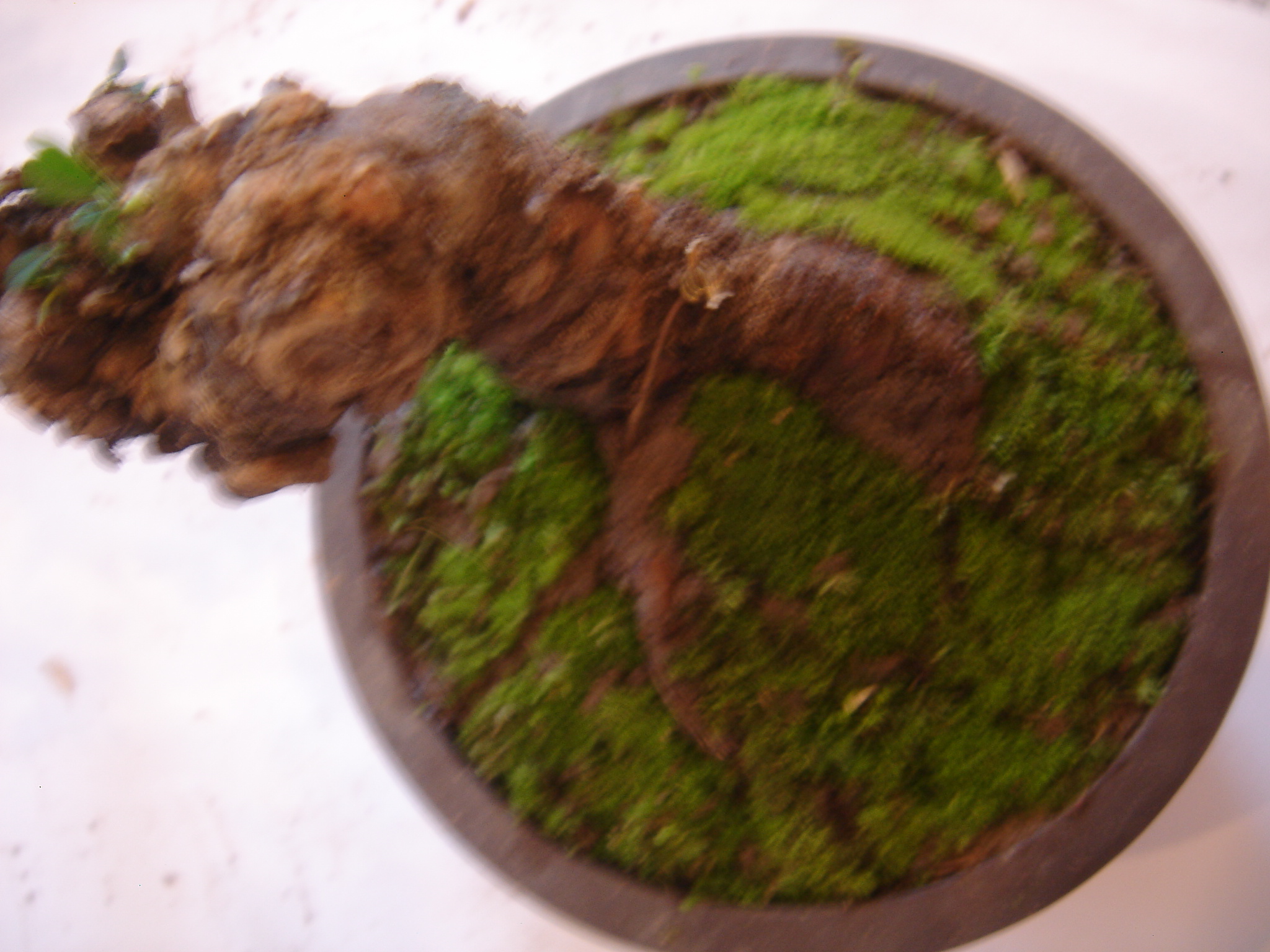 DSC02624.JPG