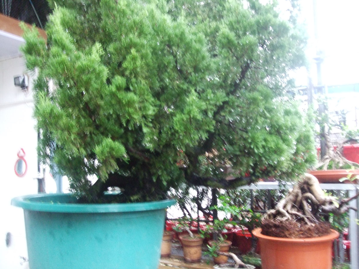 DSCF1108.jpg