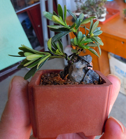 Ƭ 019_.jpg