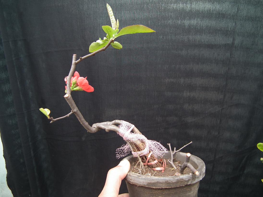 DSCF5457.JPG