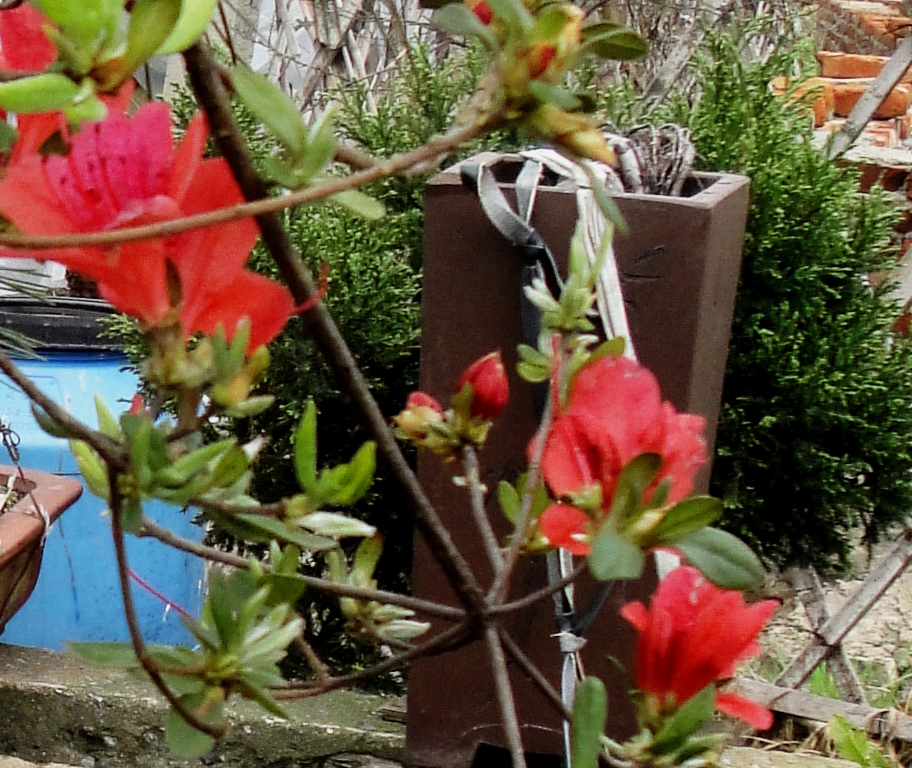 DSC08640.JPG