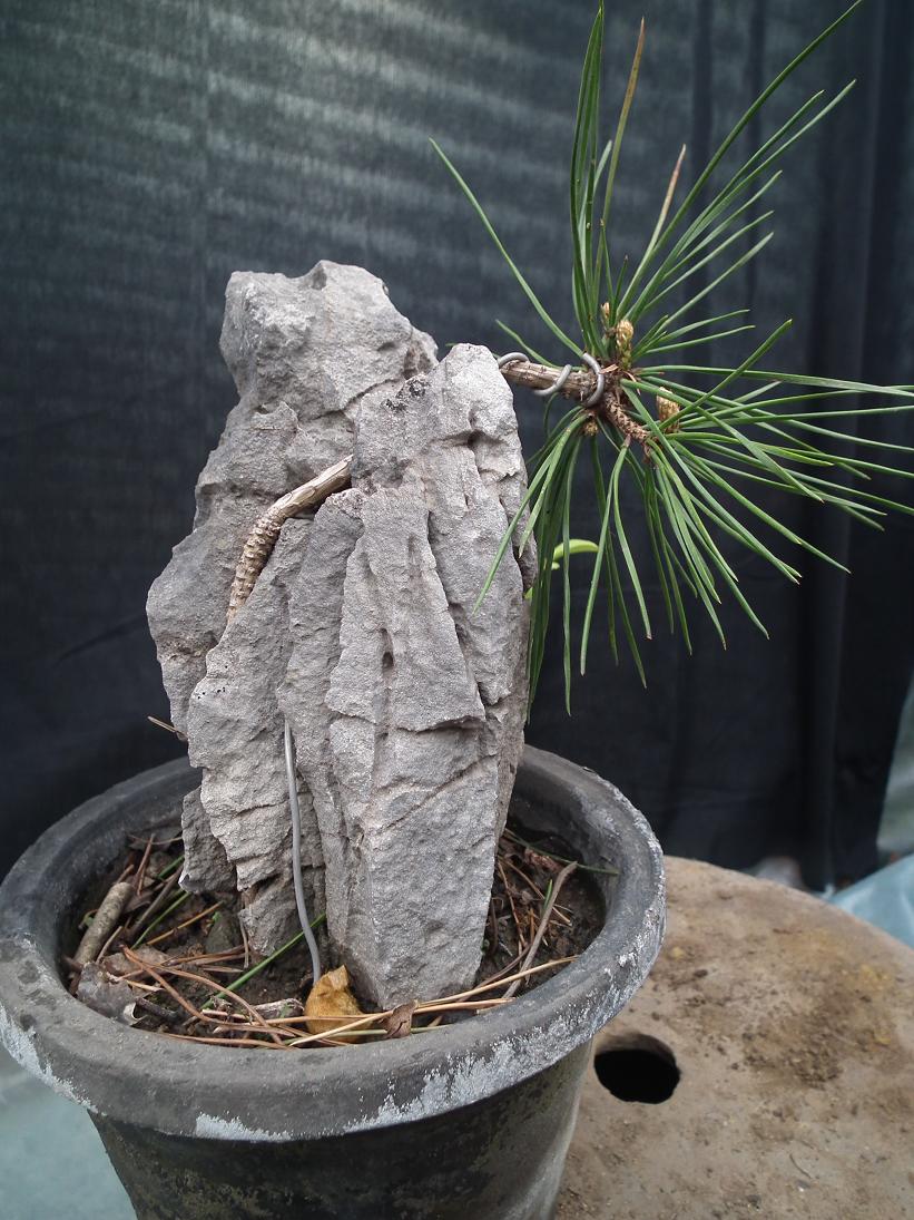 DSCF5467.JPG