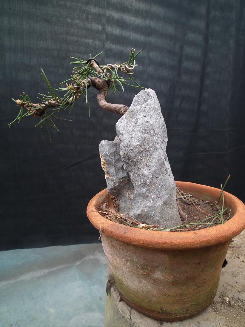 DSCF5469.JPG