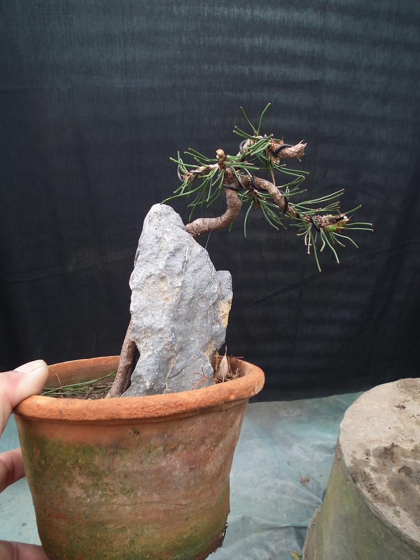 DSCF5470.JPG