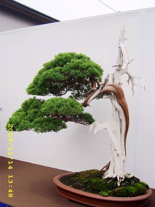 2DpyuM04c_DVAOy_9hMrVg.jpg