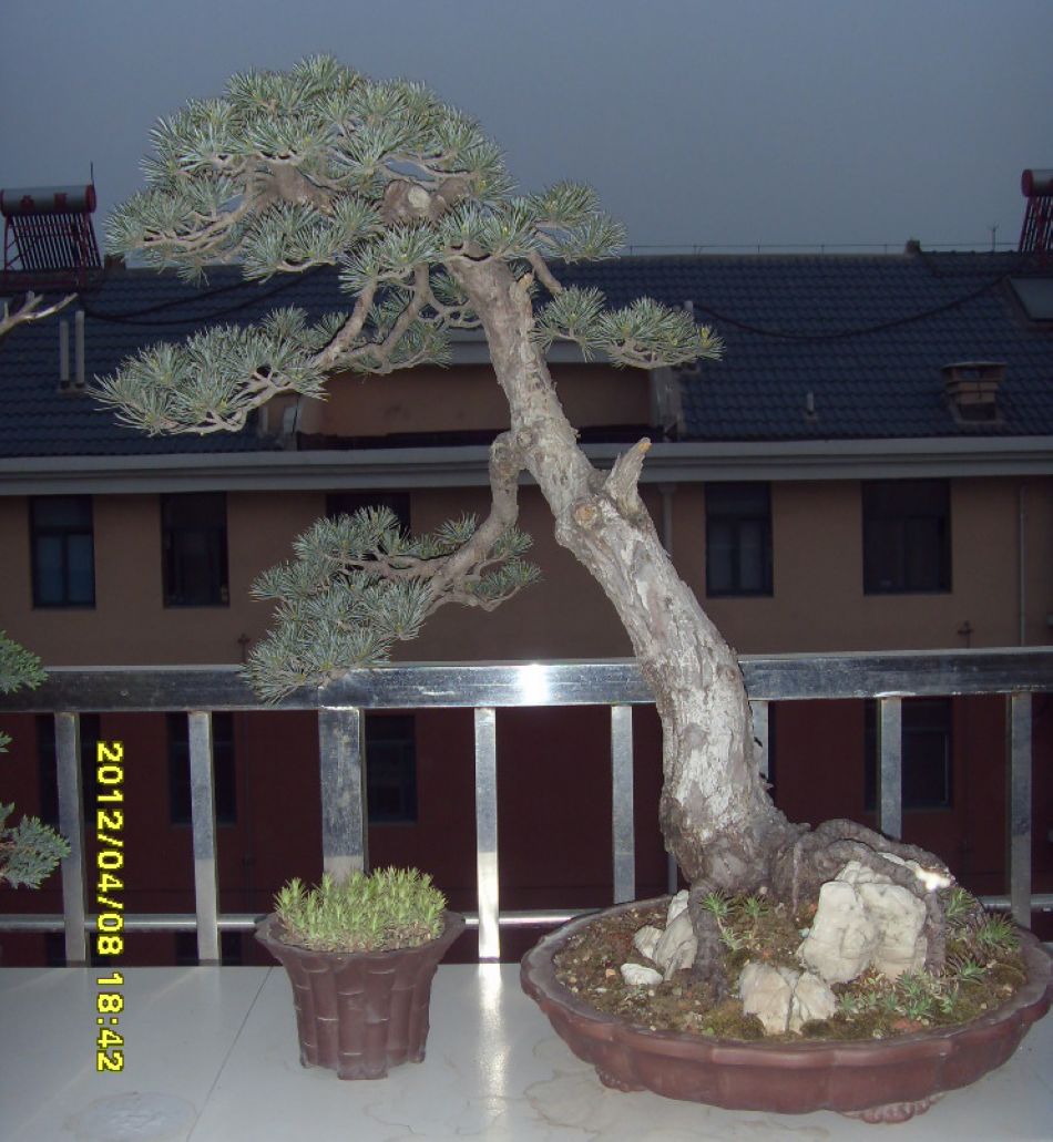 SDC12779.JPG