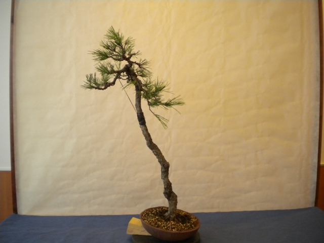 DSCN1309.jpg