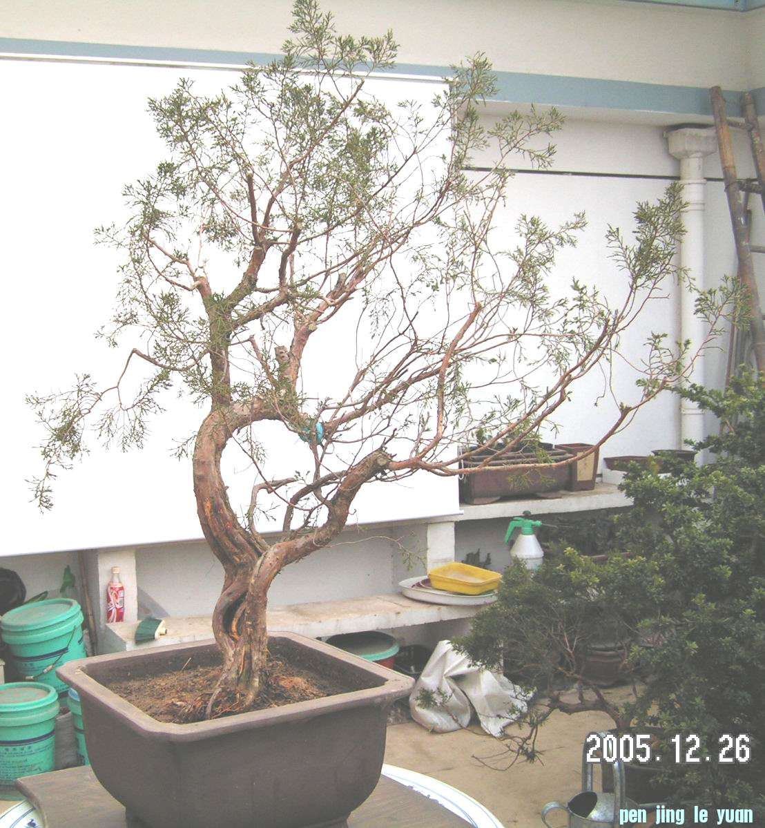 PICT0009.JPG