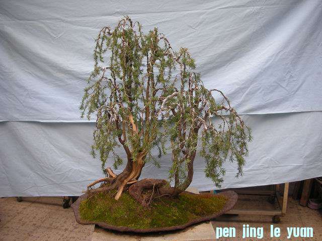 С DSCN5001.jpg