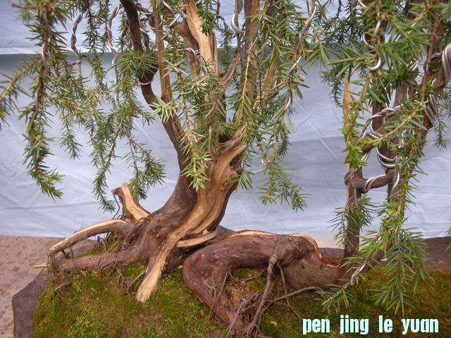 С DSCN5002.jpg
