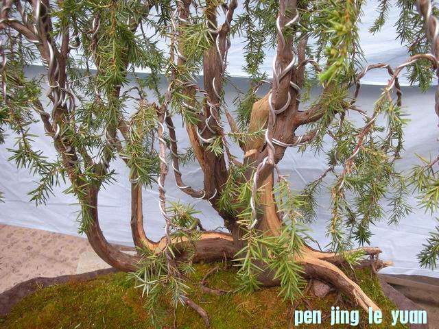 С DSCN5003.jpg