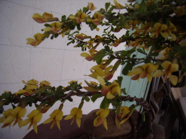 P4090052.JPG