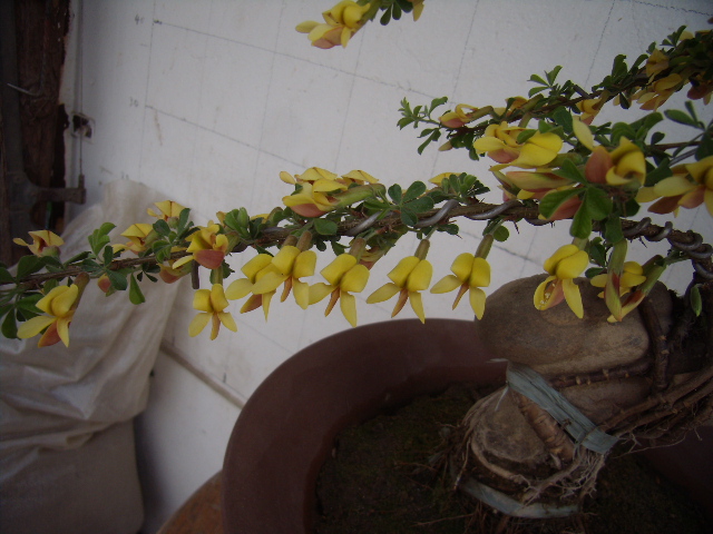 P4090059.JPG