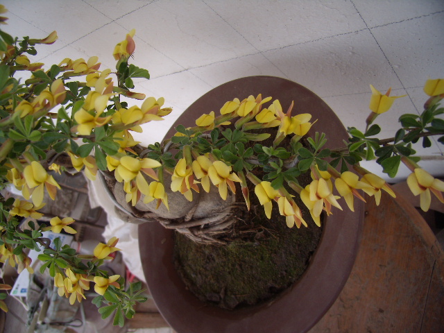 P4090064.JPG