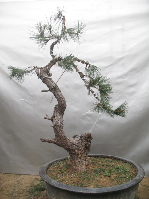 2012.04.10ĺ 031.jpg