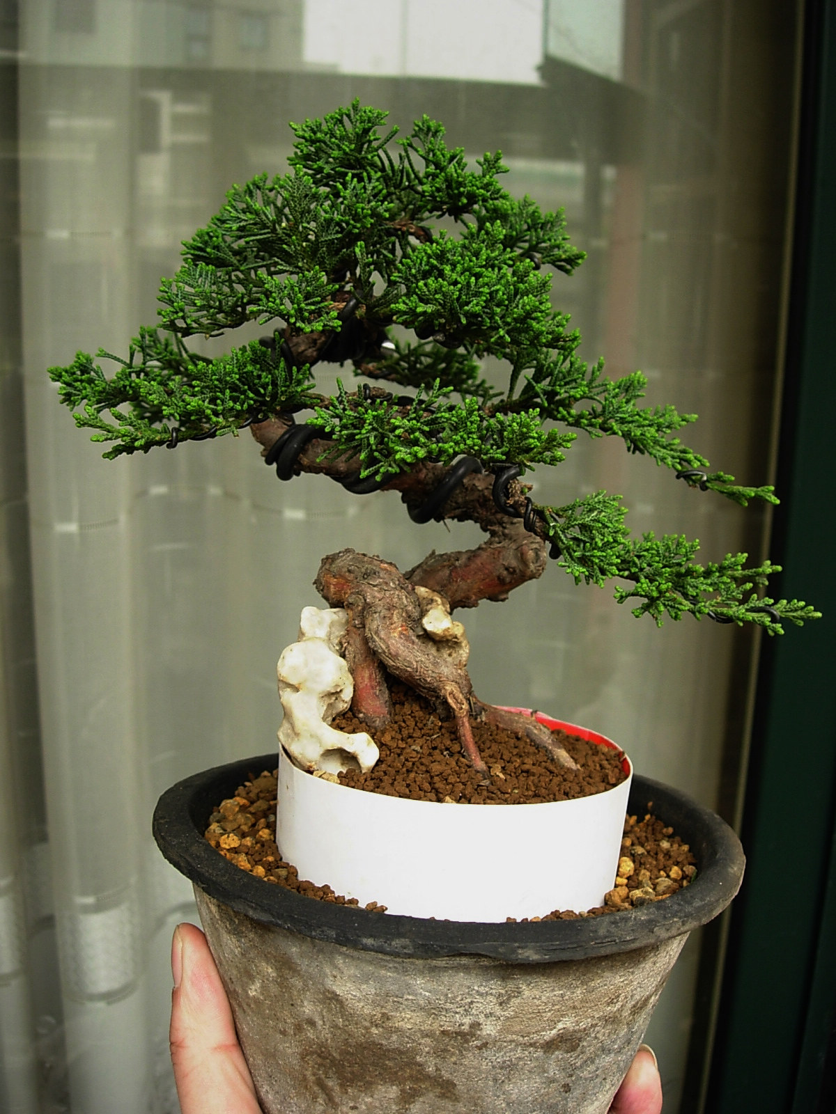 DSCN7641.JPG