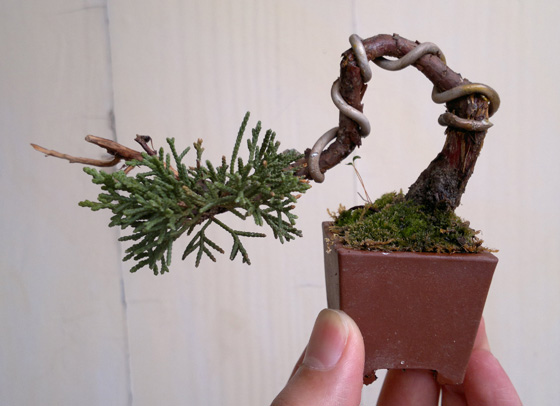 20120411746.jpg