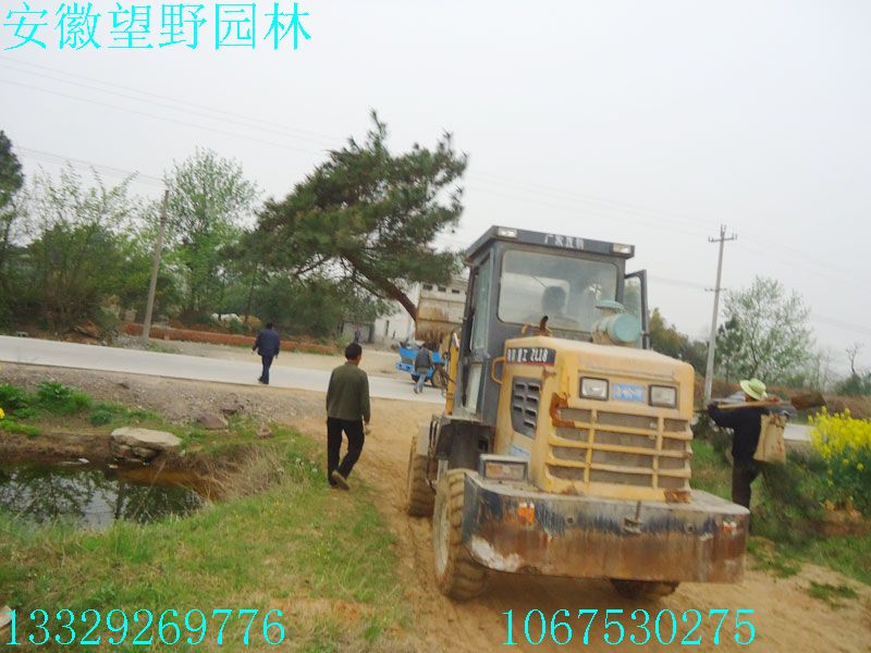 DSC03256.jpg