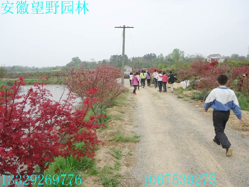 DSC03280.jpg