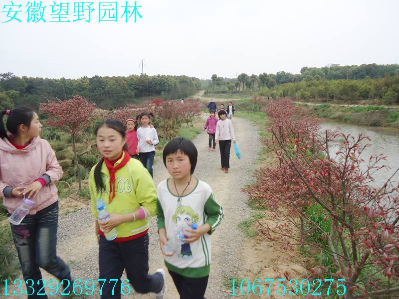 DSC03278.jpg