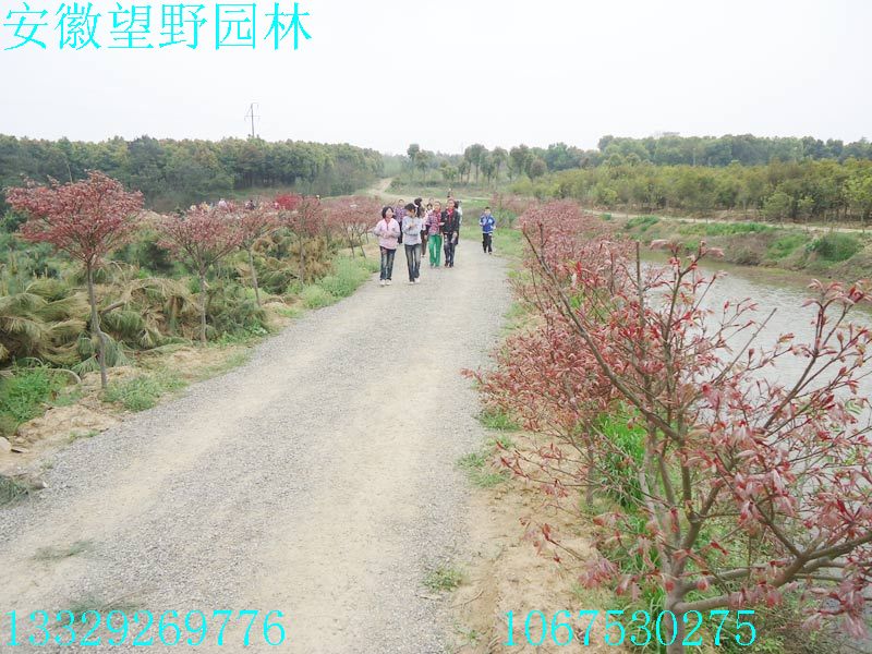 DSC03277.jpg