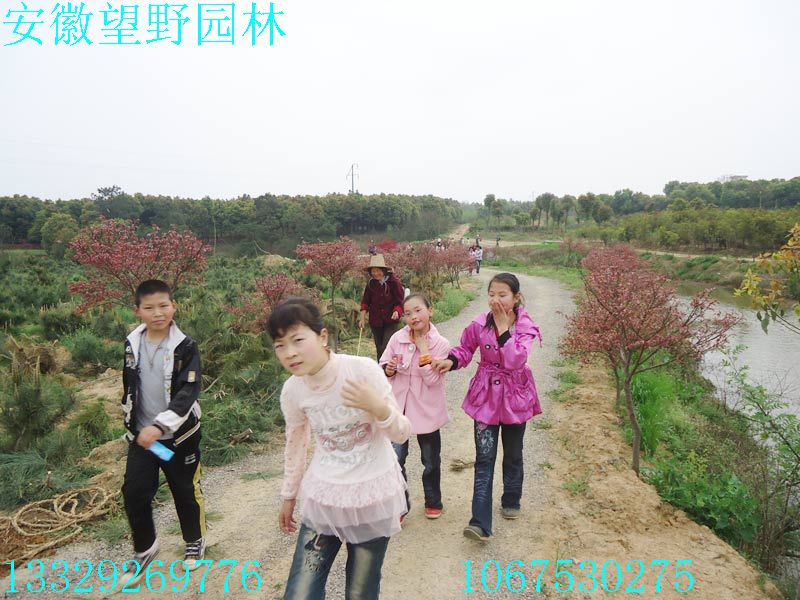 DSC03276.jpg