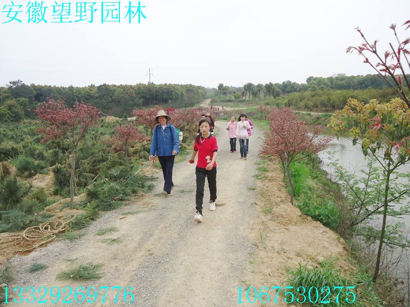 DSC03275.jpg