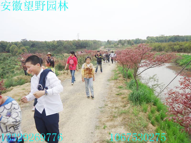 DSC03272.jpg