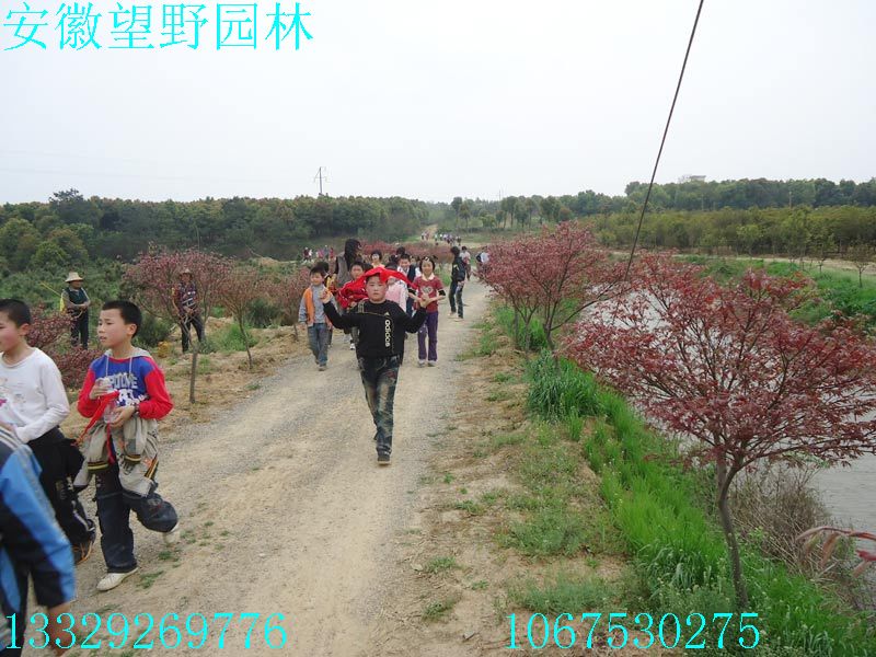 DSC03271.jpg