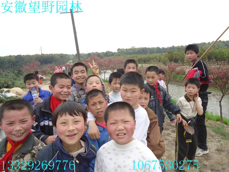 DSC03269.jpg