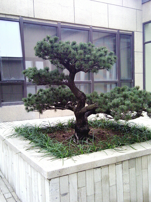 IMG_20120413_131958.jpg