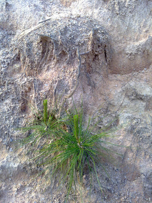20120402624.JPG