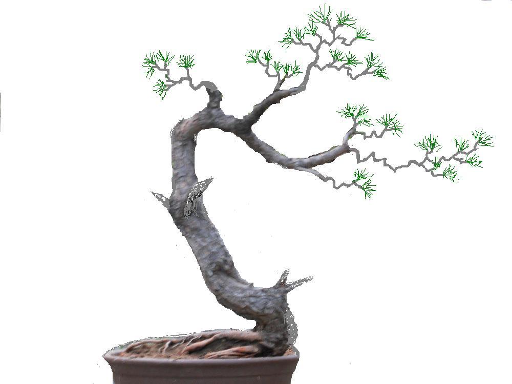 ҵ辰 ͼ.jpg