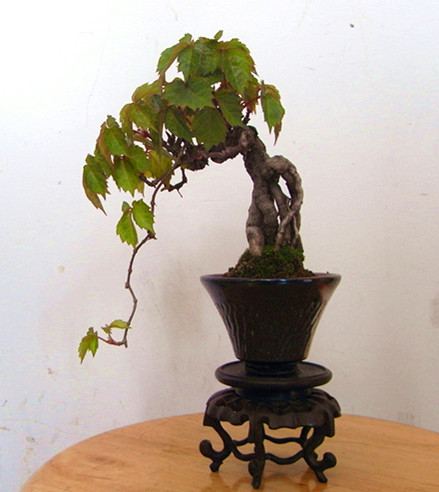 RIMG2542_.jpg