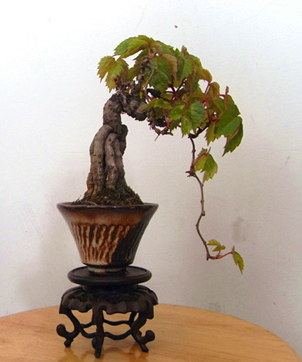 RIMG2543_.jpg