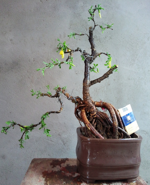 Ƭ0131.jpg