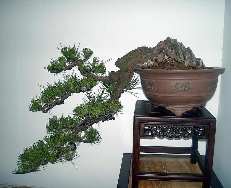 DSCN2231.JPG