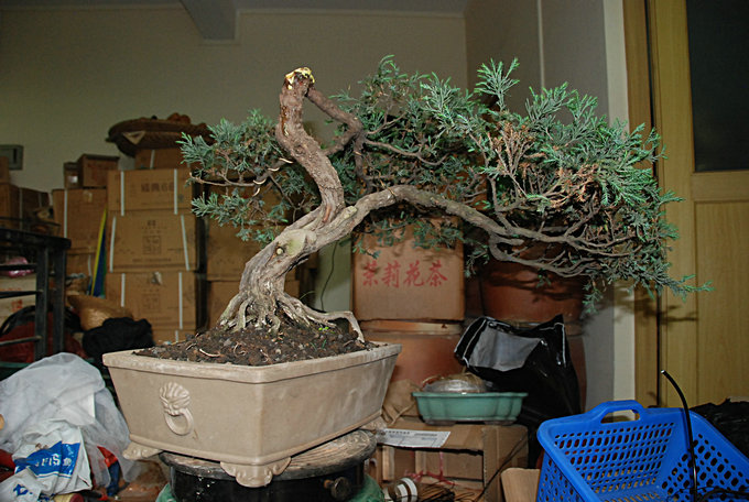 DSC_0555.JPG