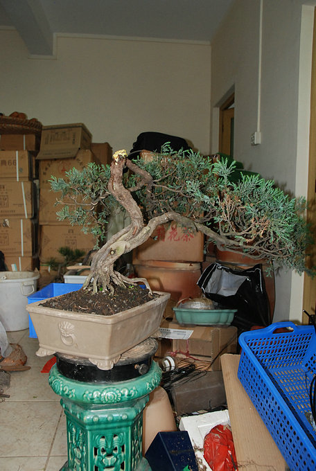 DSC_0553.JPG