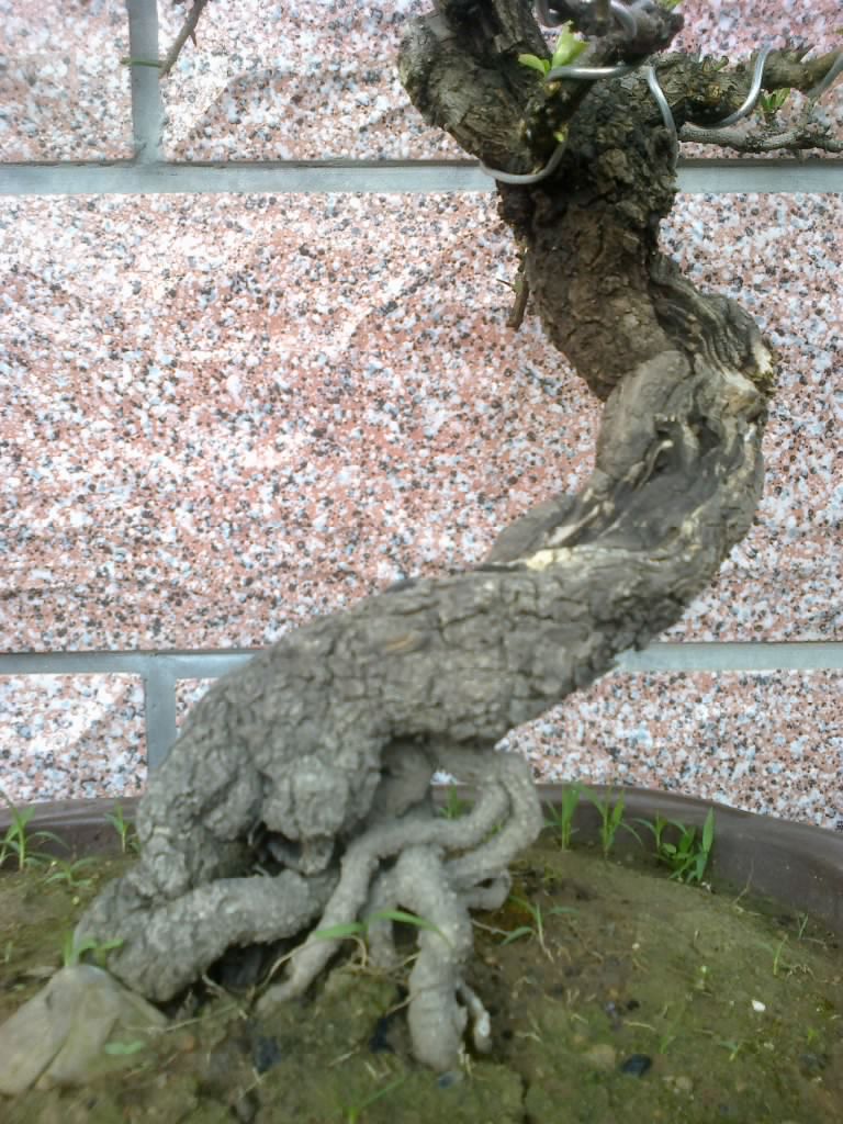 201204171190.jpg