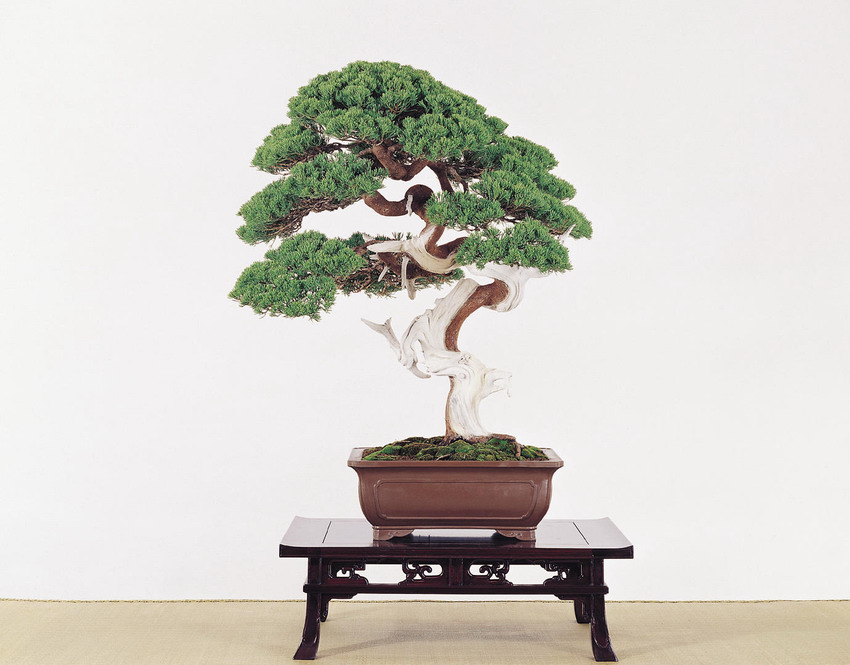 p49.jpg