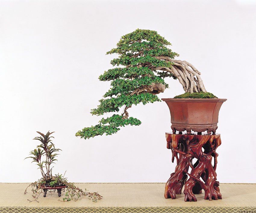 p62.jpg
